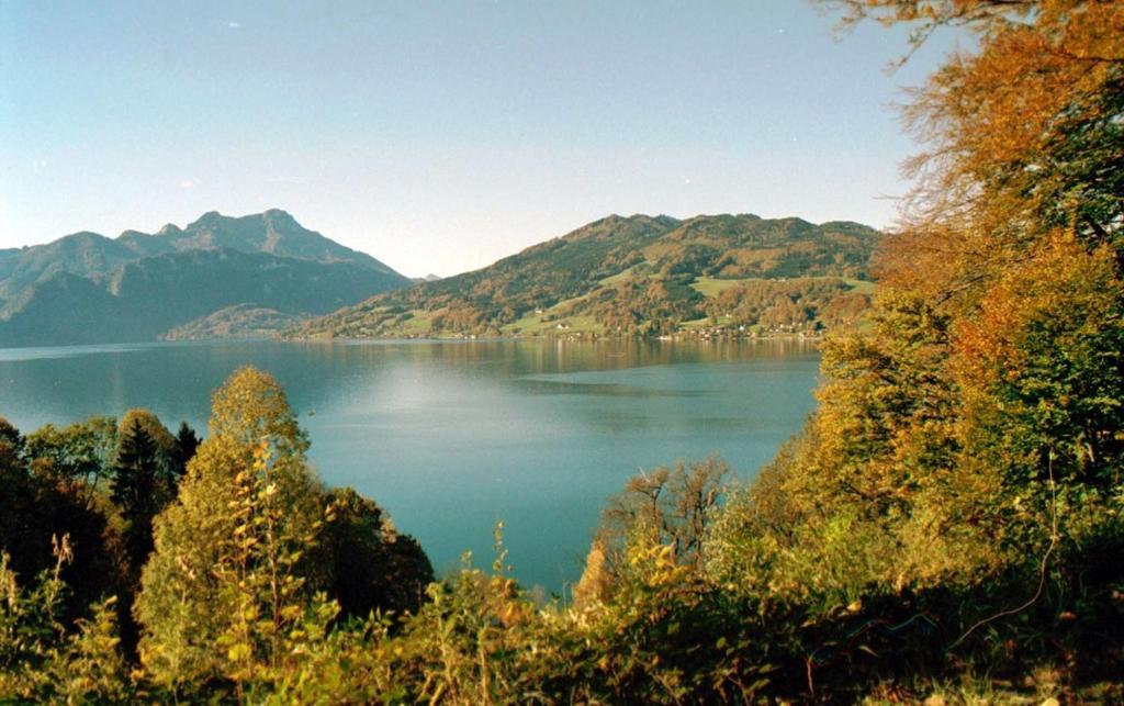 מלון Attersee Haus Gruber מראה חיצוני תמונה